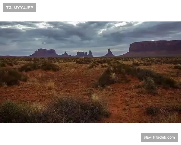 亚利桑那险胜佛罗里达 皮特30分7篮板5助攻